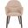 Elias Upholstered Dining Chair with Leather Velvet and Powder Coated Iron Legs In Light Taupe