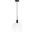 Emett 1 Light Black And Clear Glass Pendant LD6207BK