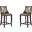 Emperor Bar Stool in Bronze and Walnut (Set of 2)
