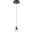 Eren 1 Light Black Pendant