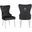 Erica 2 Piece Stainless Steel Legs Chair Finish With Velvet Fabric In Black