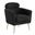 Erick Accent Leisure Chair with Pillow Rest In Black Faux Fur Fabric and Gold Chrome Legs