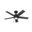 Erling 44 Inch Ceiling Fan with LED Light Kit and Pull Chain In Matte Black and Salted Black