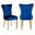 Eva Velvet Fabric Dining Chair Set of 2 In Navy and Gold