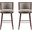 Evalyn Barstool Set of 2 In Dove