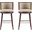 Evalyn Barstool Set of 2 In Natural