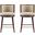 Evalyn Counter Stool Set of 2 In Natural
