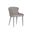 Evora Dining Chair Set of 2 In Dillon Stratus