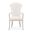 Fantosini Dining Arm Chair Set of 2 In Silver Mist and Cappuccino