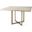 Faye I Barely Gray Finished Wood With Gold Metal Base Square Dining Table