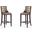 Fifth Avenue Bar Stool in Bronze and Walnut (Set of 2)
