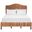 Finola Rattan Queen Bed in Espresso BED8002B-Q