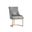 Florence Dining Chair Set of 2 In Bravo Metal