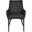 Fritz Arm Chair Set of 2 In Dark Grey