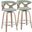 Gardenia 26 Inch Fixed Height Counter Stool Set of 2 In Green and White