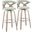 Gardenia 30 Inch Fixed Height Barstool Set of 2 In Green and White