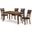 Gia 5 Piece 60 Inch Dining Table and 4 Chairs In Brown