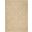 Grafix Cream 5'3" x 7'3" Area Rug