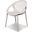 Gravely White - Set of 4 Armchair