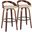 Grotto 30 Inch Fixed Height Barstool Set of 2 In Black