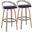 Grotto 30 Inch Fixed Height Barstool Set of 2 In Light Grey