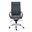 Gunar Pro High Back Office Chair In Blue