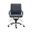 Gunar Pro Low Back Office Chair In Blue