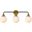 Hanson 3 Lights Bath Sconce In Black With Brass With Frosted Shade
