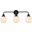 Hanson 3 Lights Bath Sconce In Black With Frosted Shade