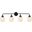 Hanson 4 Lights Bath Sconce In Black With Frosted Shade