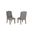 Hazel Rustic Wingback Dining Chair Set of 2 in Gray
