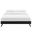 Helen Vinyl Queen Bed Frame with Round Splayed Legs In Black