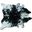 Homeroots Salt And Pepper Black And White Cowhide Rug