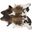 Homeroots Taupe And White Cowhide Rug