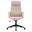 Inifini Modern Office Chair In Tan
