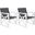 Irina White and Ash Grey Arm Chair Set of 2