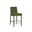 Jeno Counter Stool In Meg Olive