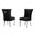 Julie Upholstered Side Chairs Set of 2 In Black Velvet and Stainless Steel Legs and Ring