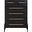 Kaya Vegan Leather Chest In Black
