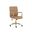Kleo Office Chair In Tan and Gold