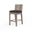 Laguna Barstool in Spectrum Carbon