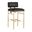 Laney Bar Stool In Black