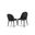 Lenvik Side Chair Set of 2 In Black and White