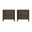 Linda Modern 2-Drawer Nightstand Set of 2 in Walnut Brown