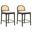 Lucio Counter Height Bar Stool Set of 2 In Black and White