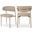 Lupita Vegan Leather Dining Chair Set of 2 In Taupe and Brushed Gold