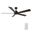 Lurgan 60 Inch 5-Blade Ceiling Fan with Remote In Walnut and Black