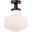 Lyle 1 Light Black And Frosted White Glass Flush Mount LD6243BK