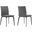 Lyon Gray Fabric and Metal Dining Room Chair Set of 2