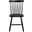 Lyra Side Chairs Set of 2 In Black